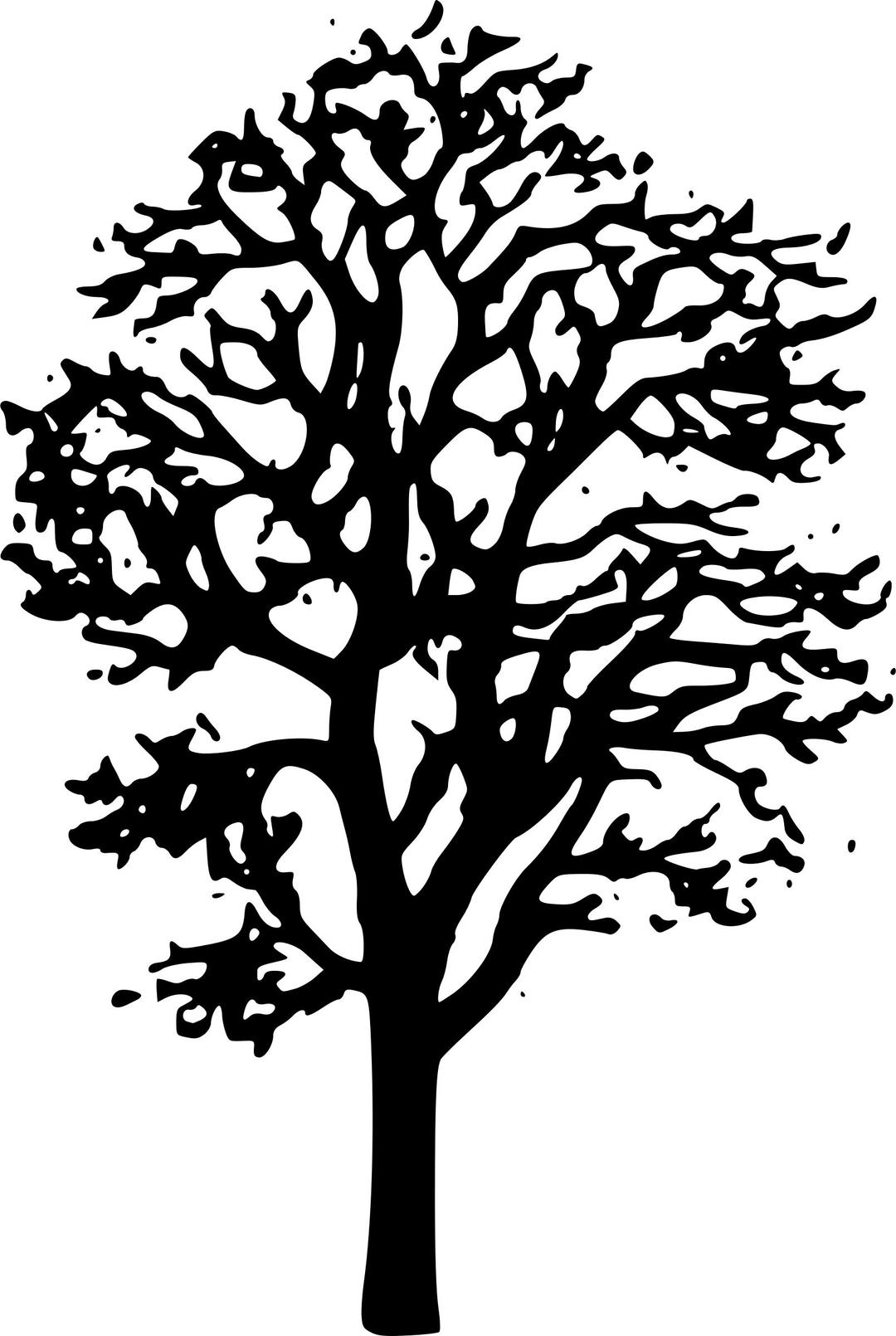 Maple Tree png transparent