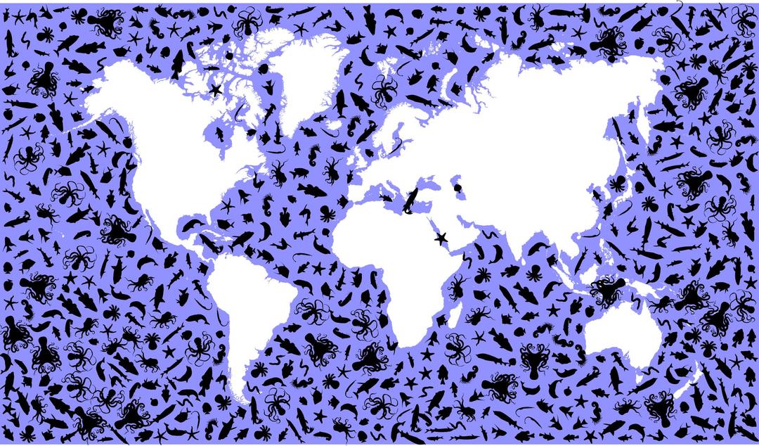 Marine Animals World Map png transparent