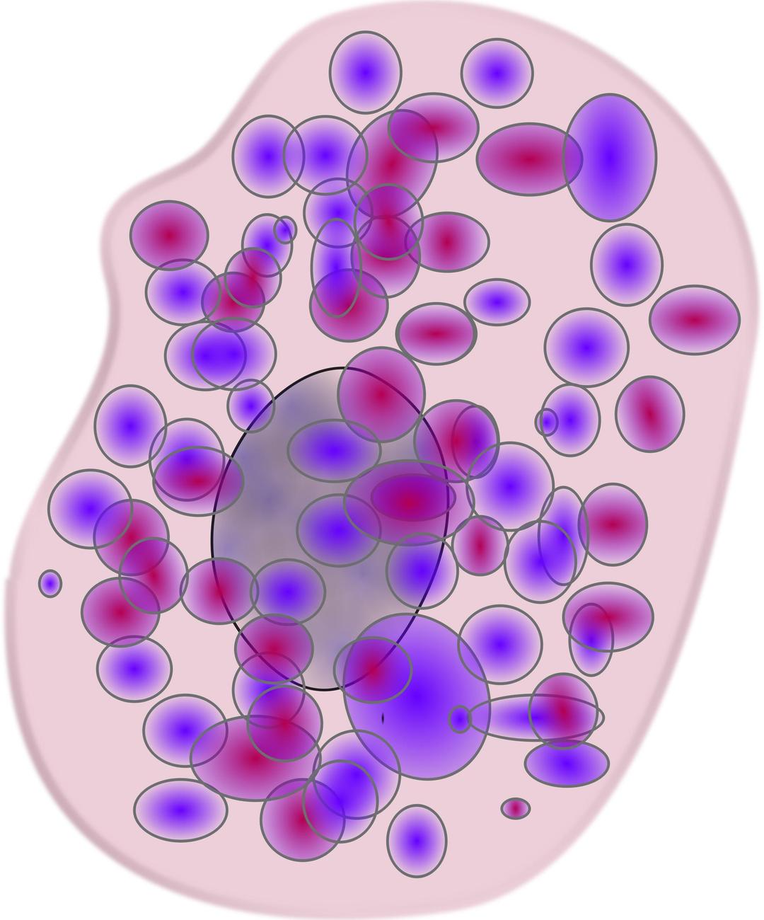 mast-cell png transparent