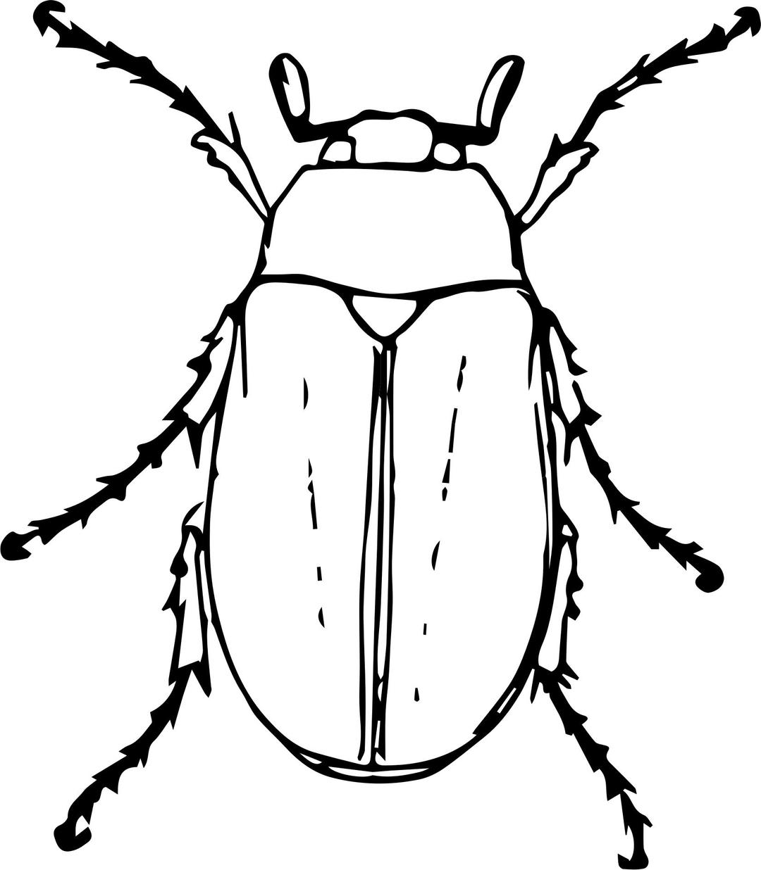 May Beetle png transparent