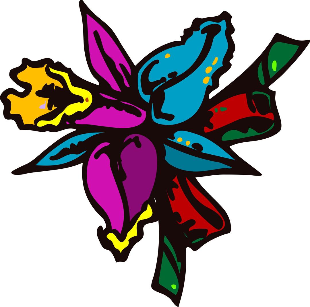mazzo di fiori (Colorful Flower) png transparent
