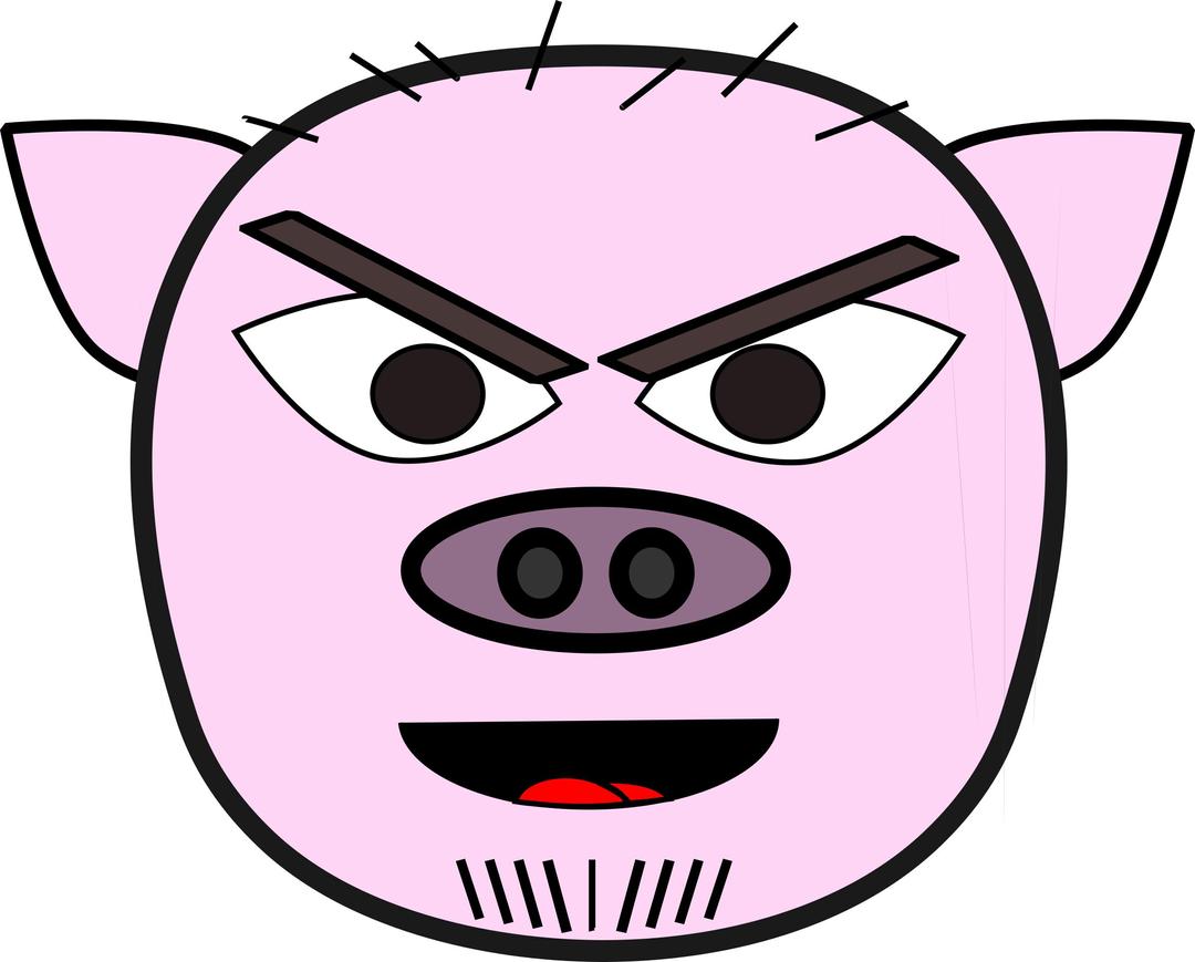 Mean Pig png transparent