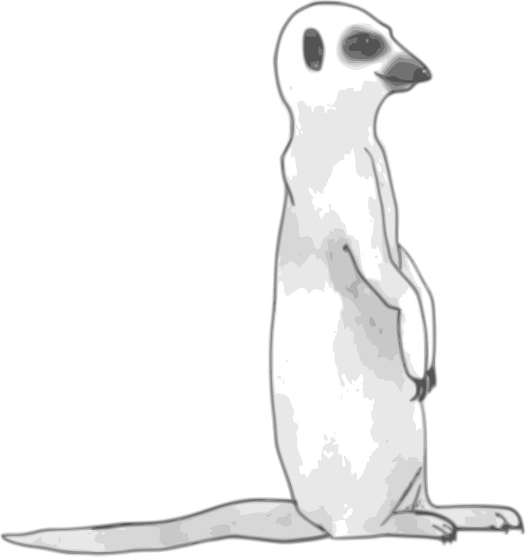 Meerkat png transparent
