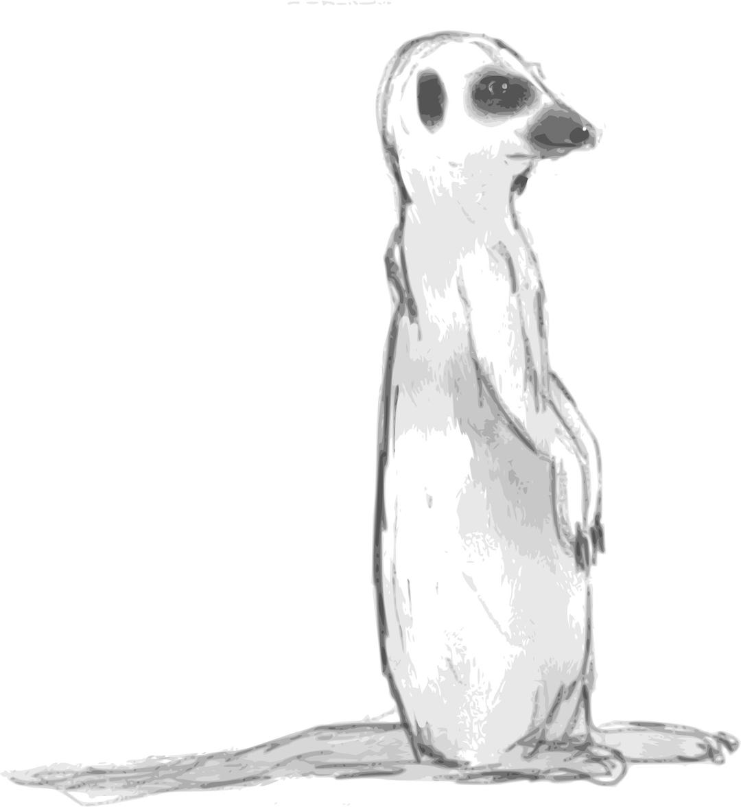 Meerkat Sketch png transparent