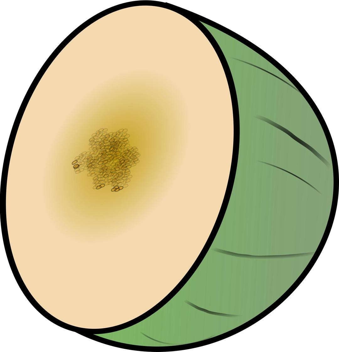 melon png transparent