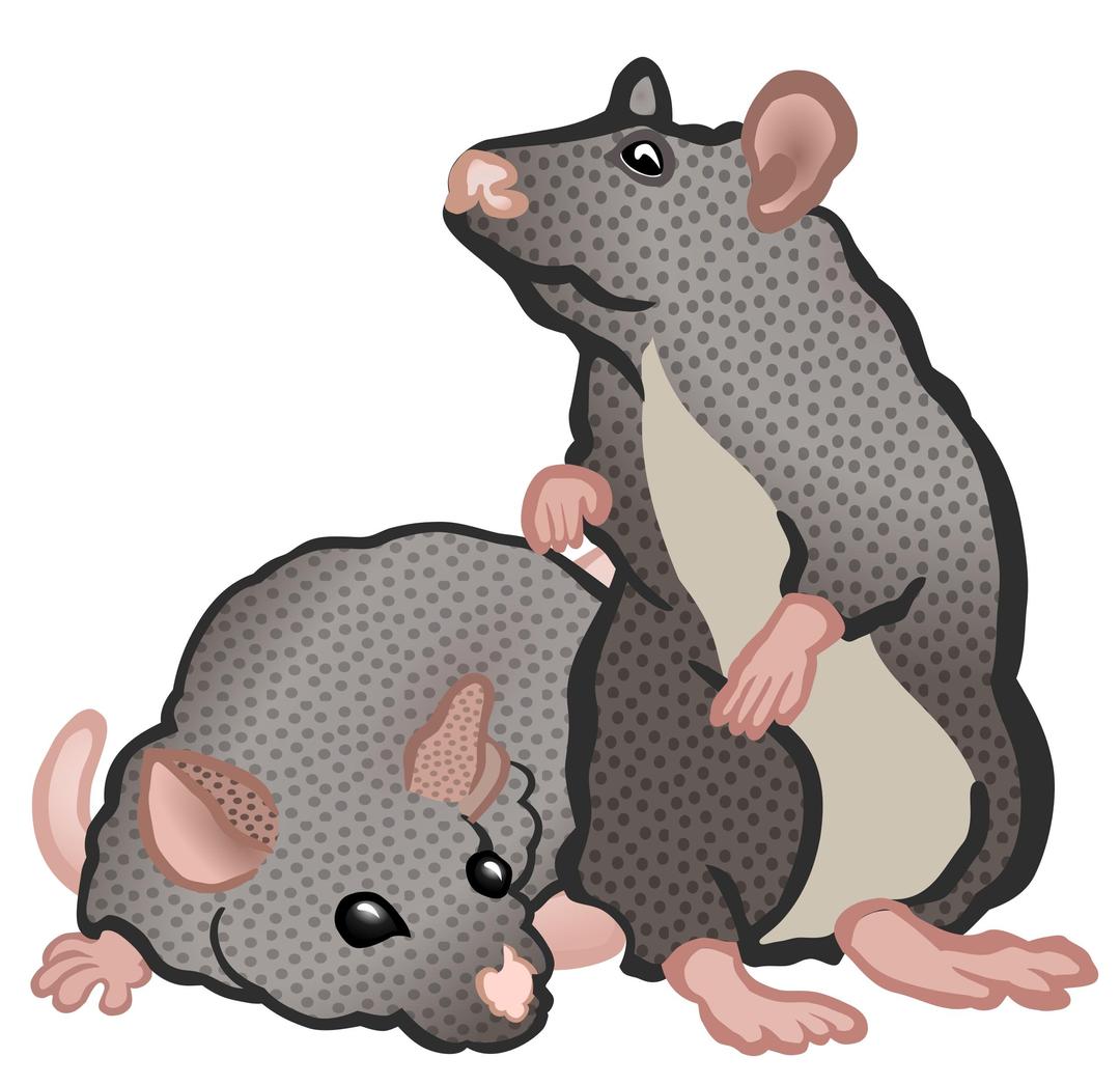 mice - coloured png transparent