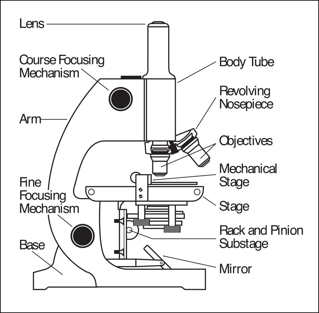 Microscope parts labeled png transparent