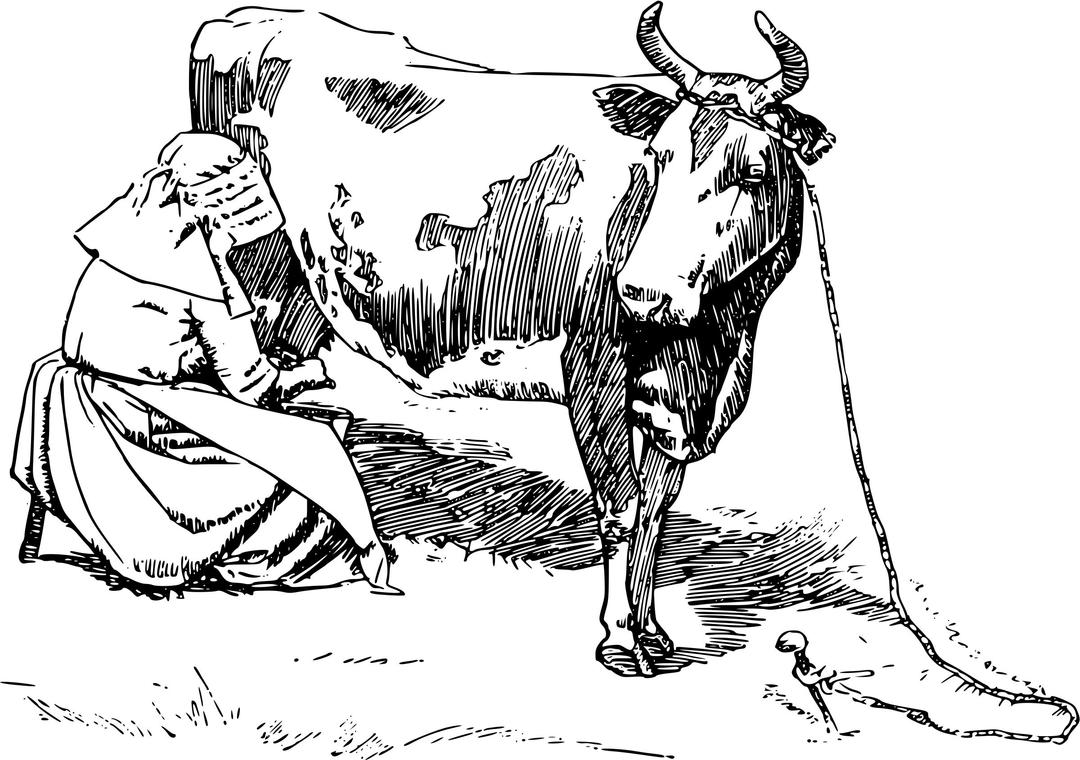 Milking the cow png transparent