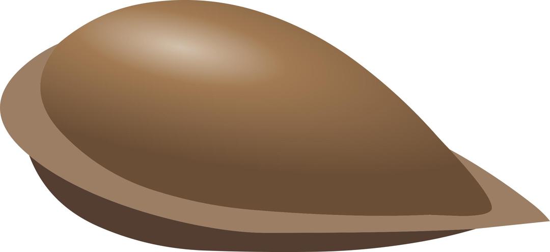 Misc Apple Seed png transparent