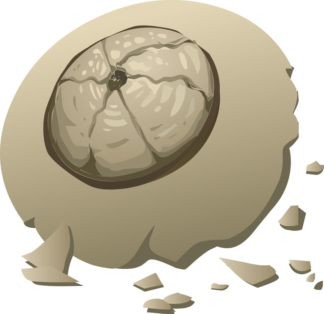 Misc Barnacle png transparent