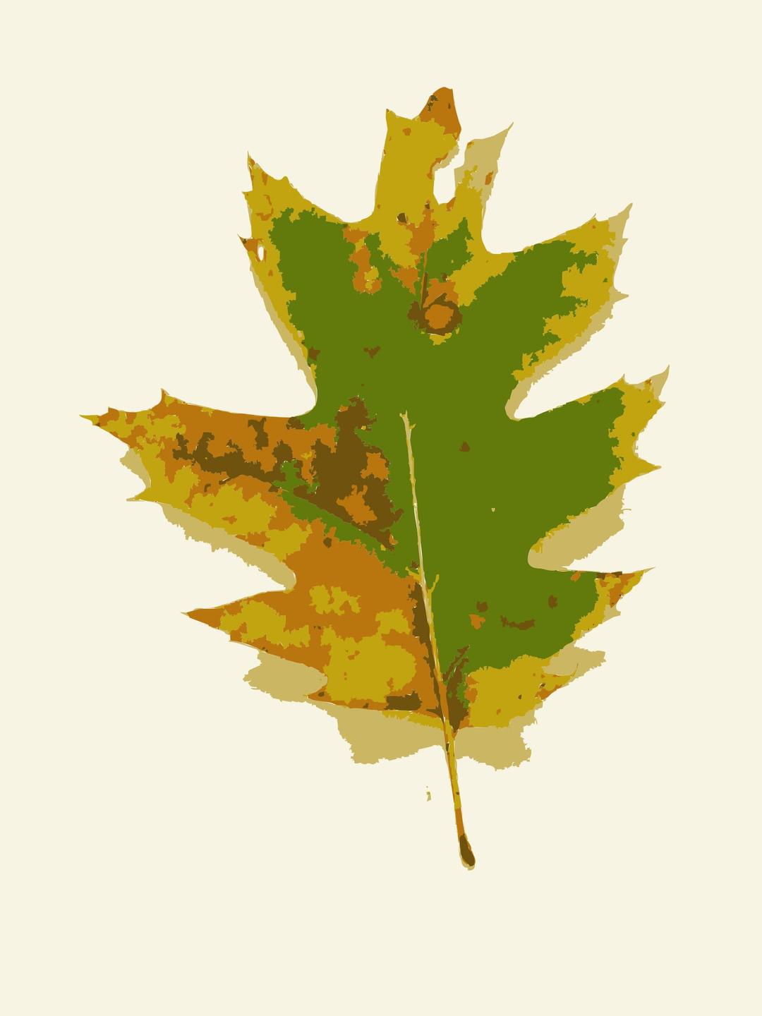 Missouri Fall Tree Leaves 1 png transparent
