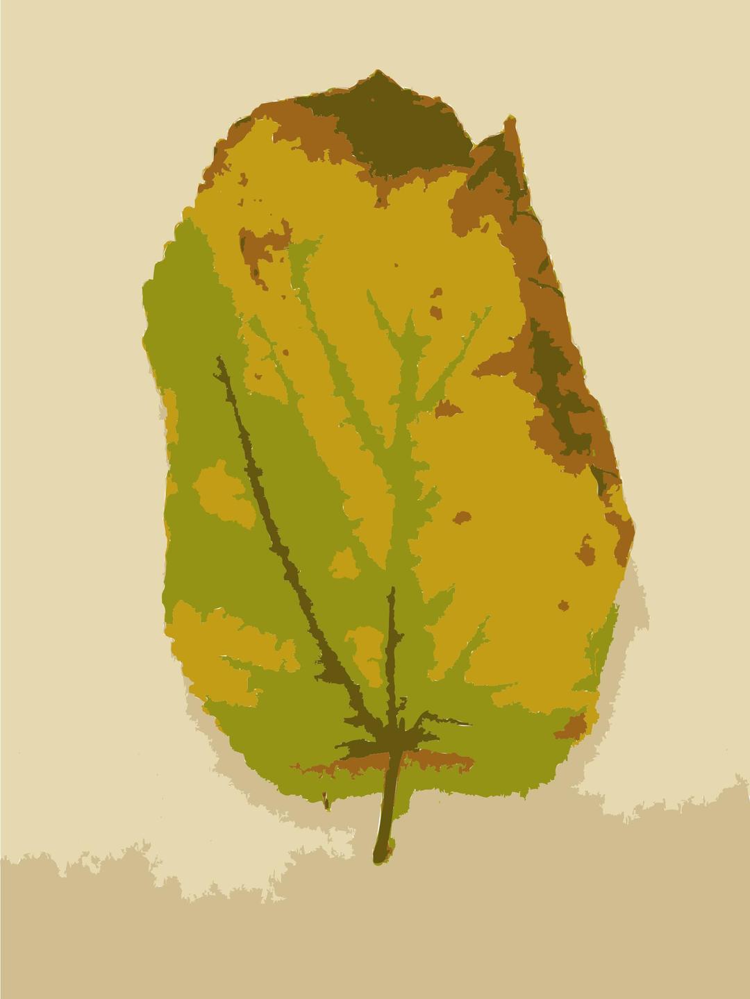 Missouri Fall Tree Leaves 3 png transparent