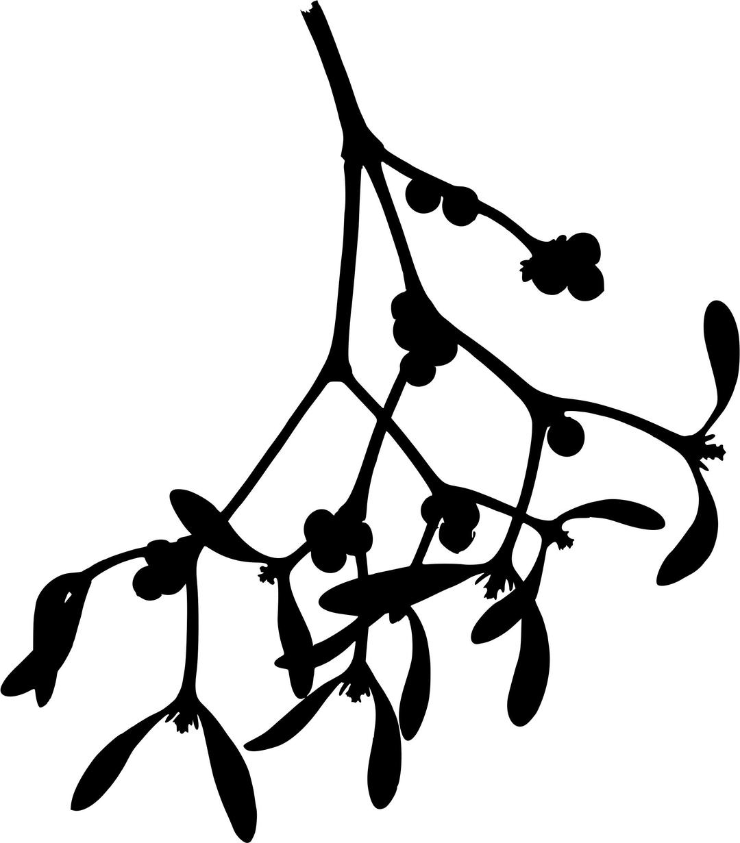 Mistletoe (silhouette) png transparent