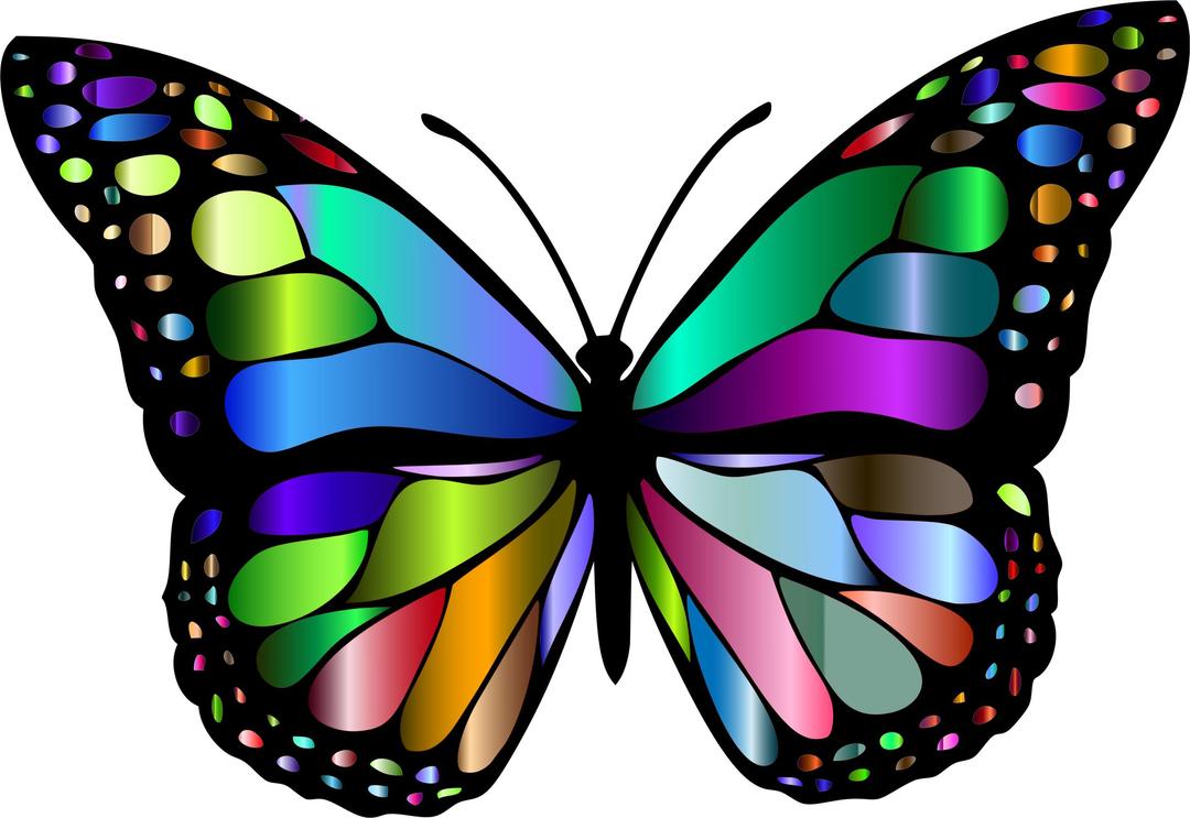 Monarch Butterfly 2 Variation 3 png transparent