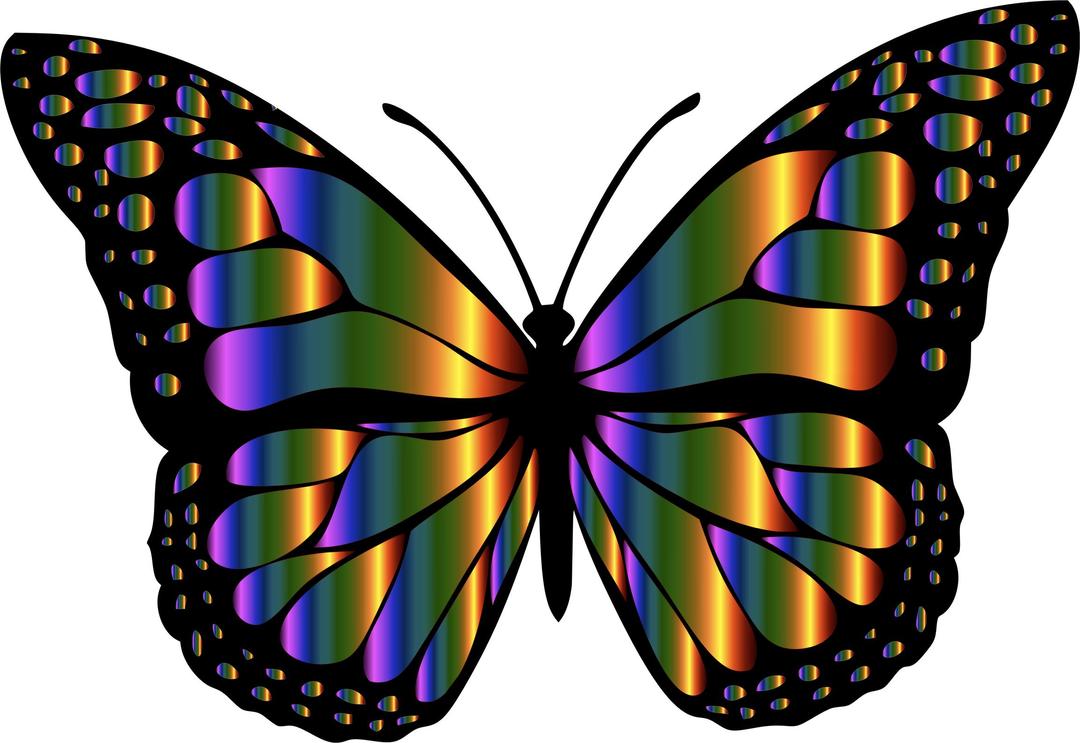 Monarch Butterfly 2 Variation 4 png transparent