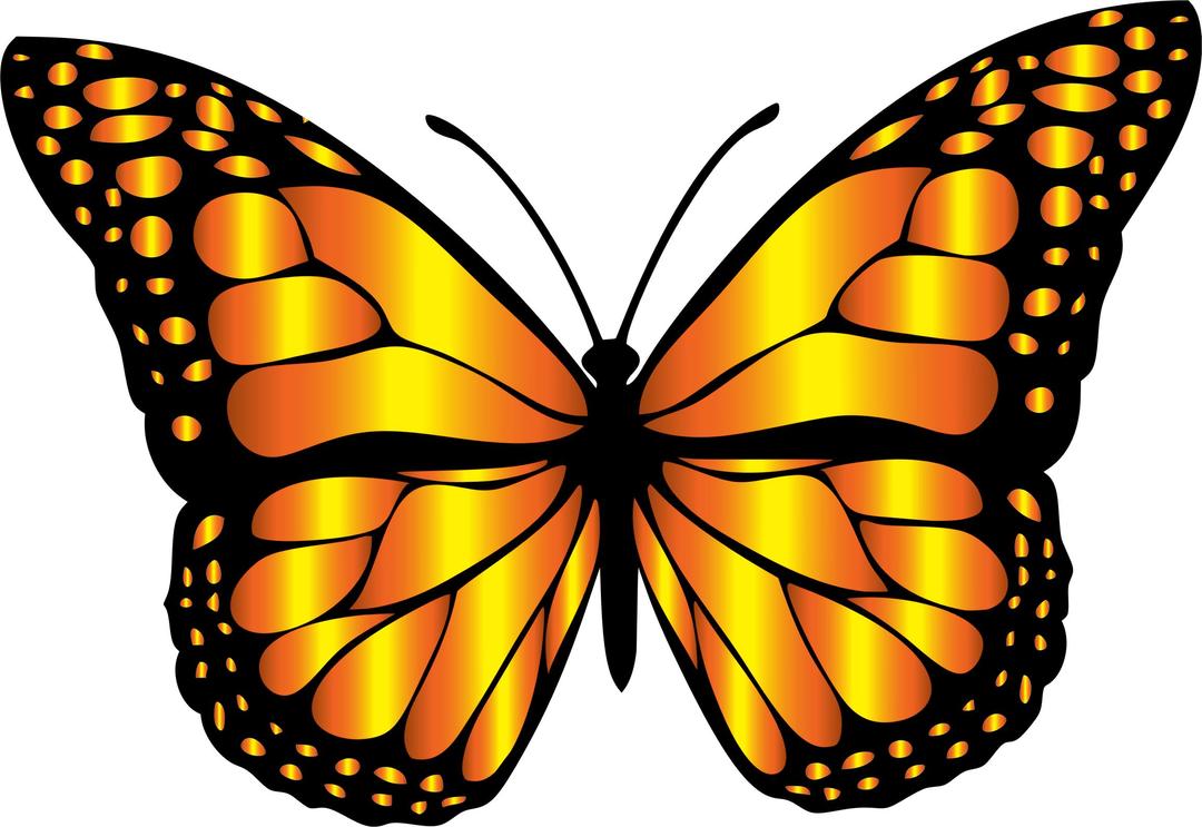 Monarch Butterfly 2 Variation 6 png transparent