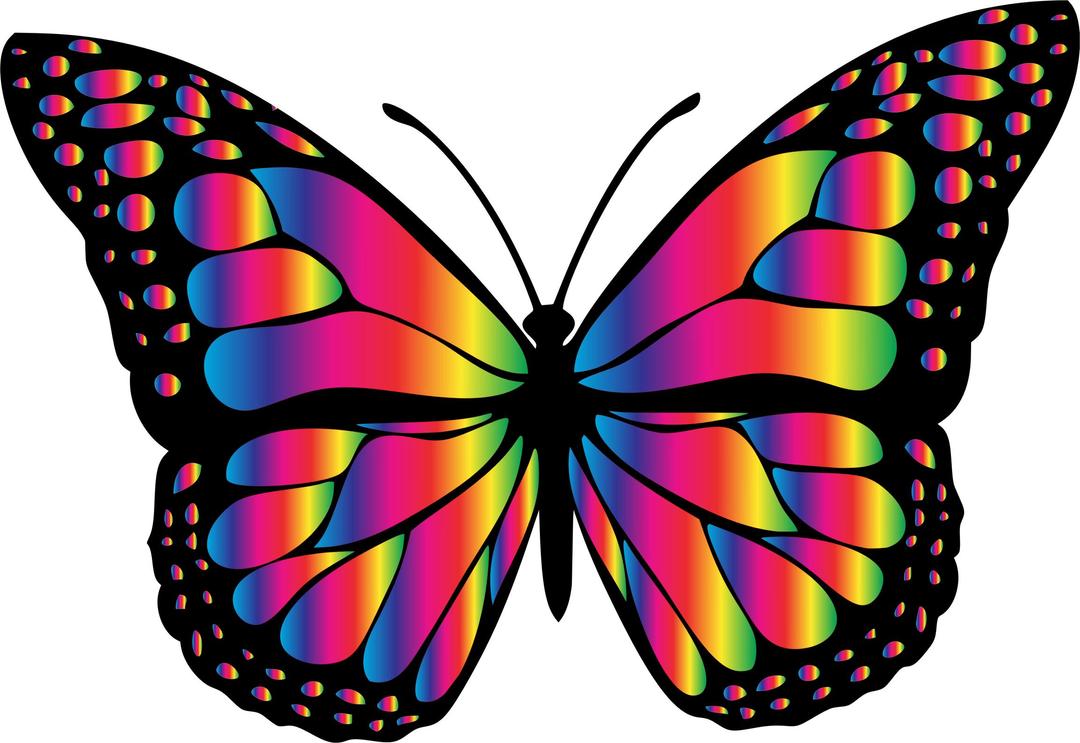 Monarch Butterfly 2 Variation 9 png transparent