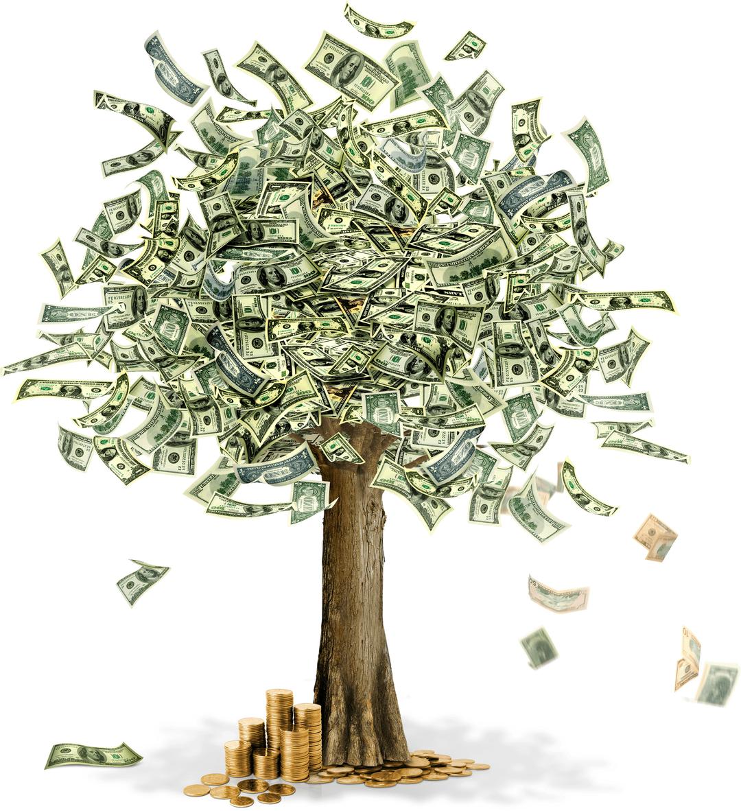 Money Tree png transparent