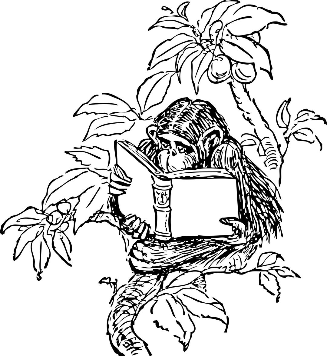 monkey reading png transparent