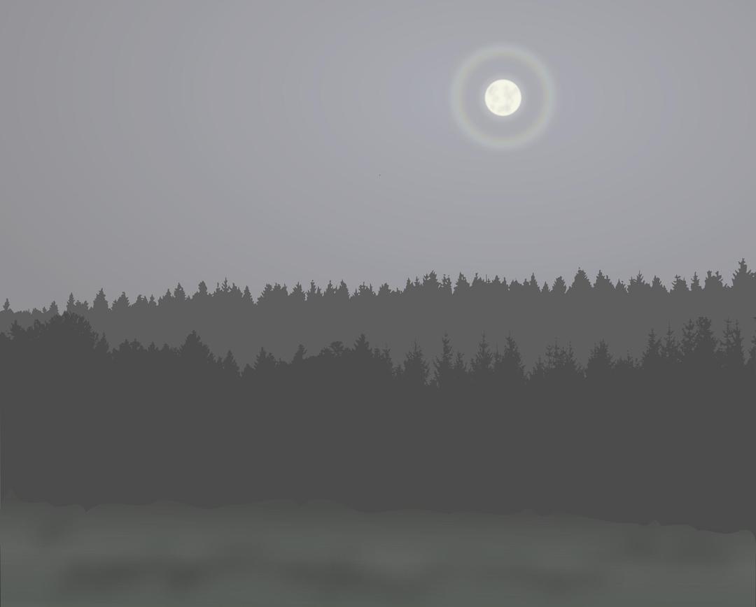 Moonlit night png transparent