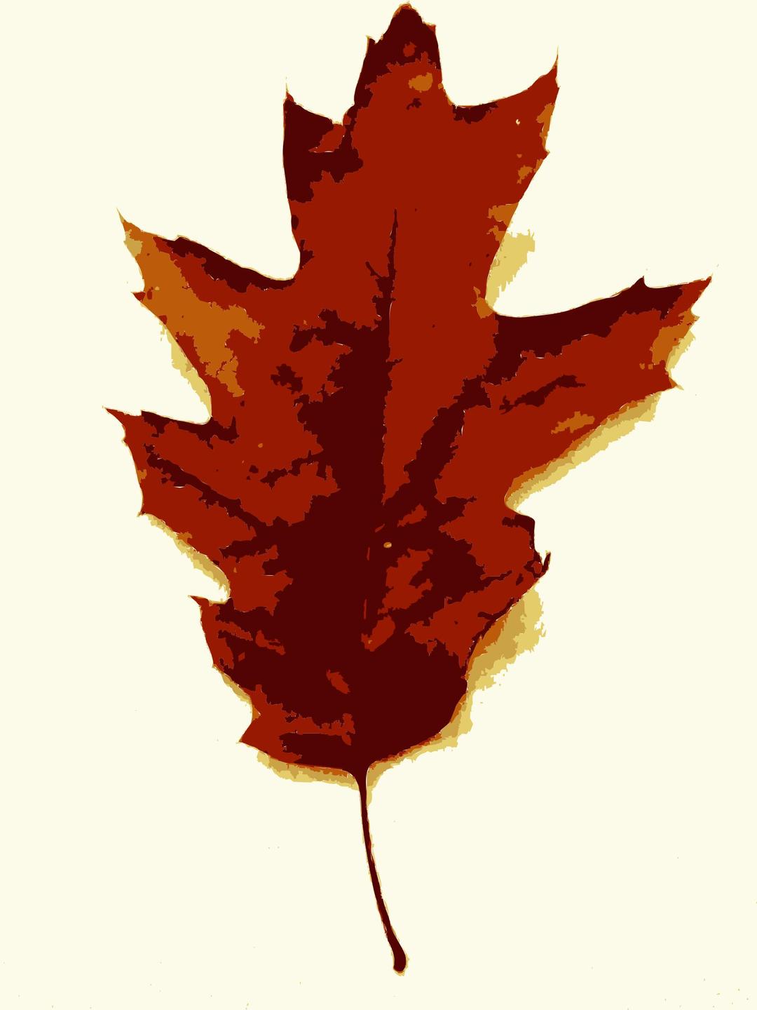 More fall tree leaves 3 png transparent