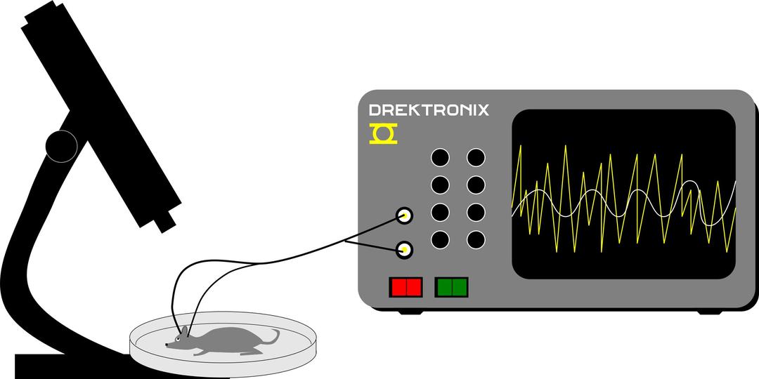 Mouse EEG png transparent