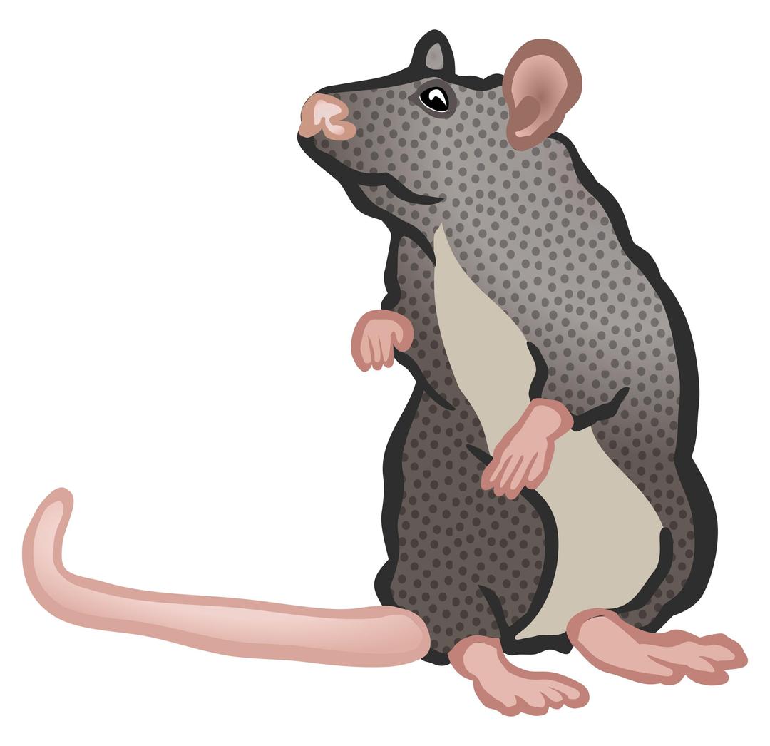 mouse two - coloured png transparent