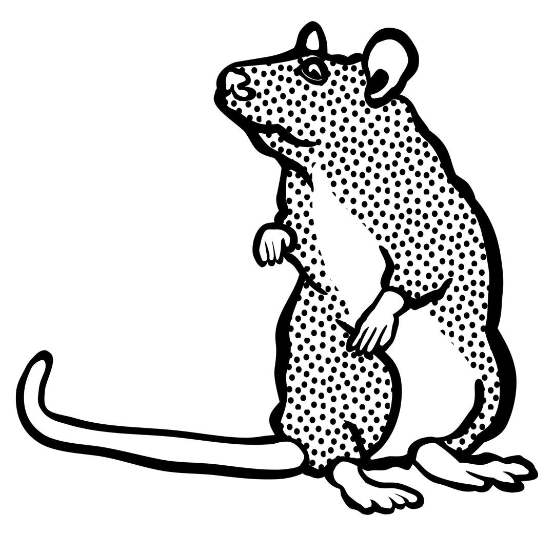 mouse two - lineart png transparent