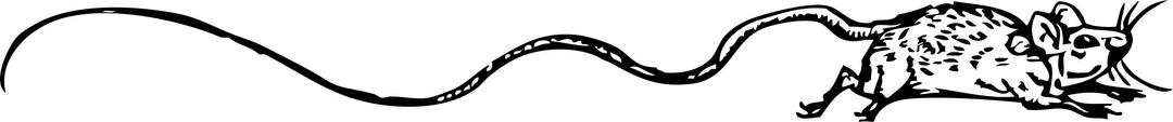 mouse with a very long tail png transparent