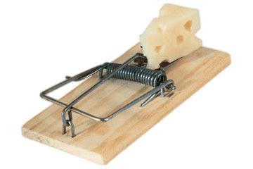 Mousetrap With Some Cheese png transparent