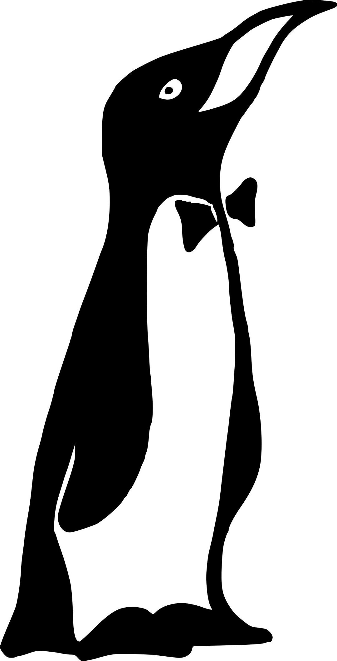 Mr Penguin png transparent