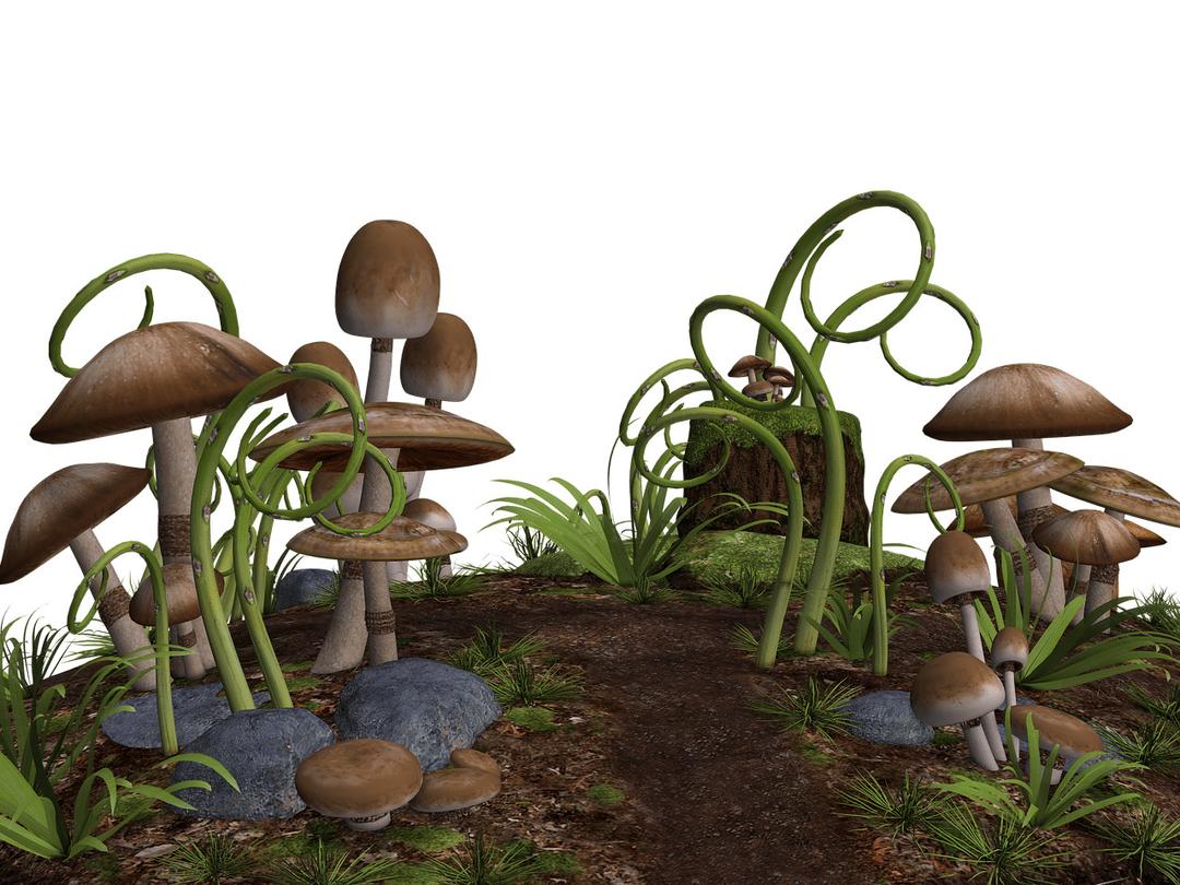 Mushrooms Along Path png transparent