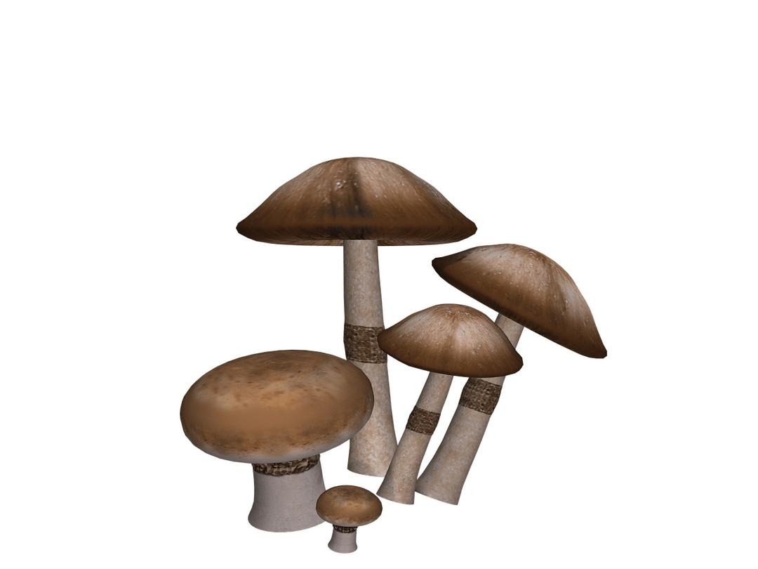 Mushrooms Collection png transparent