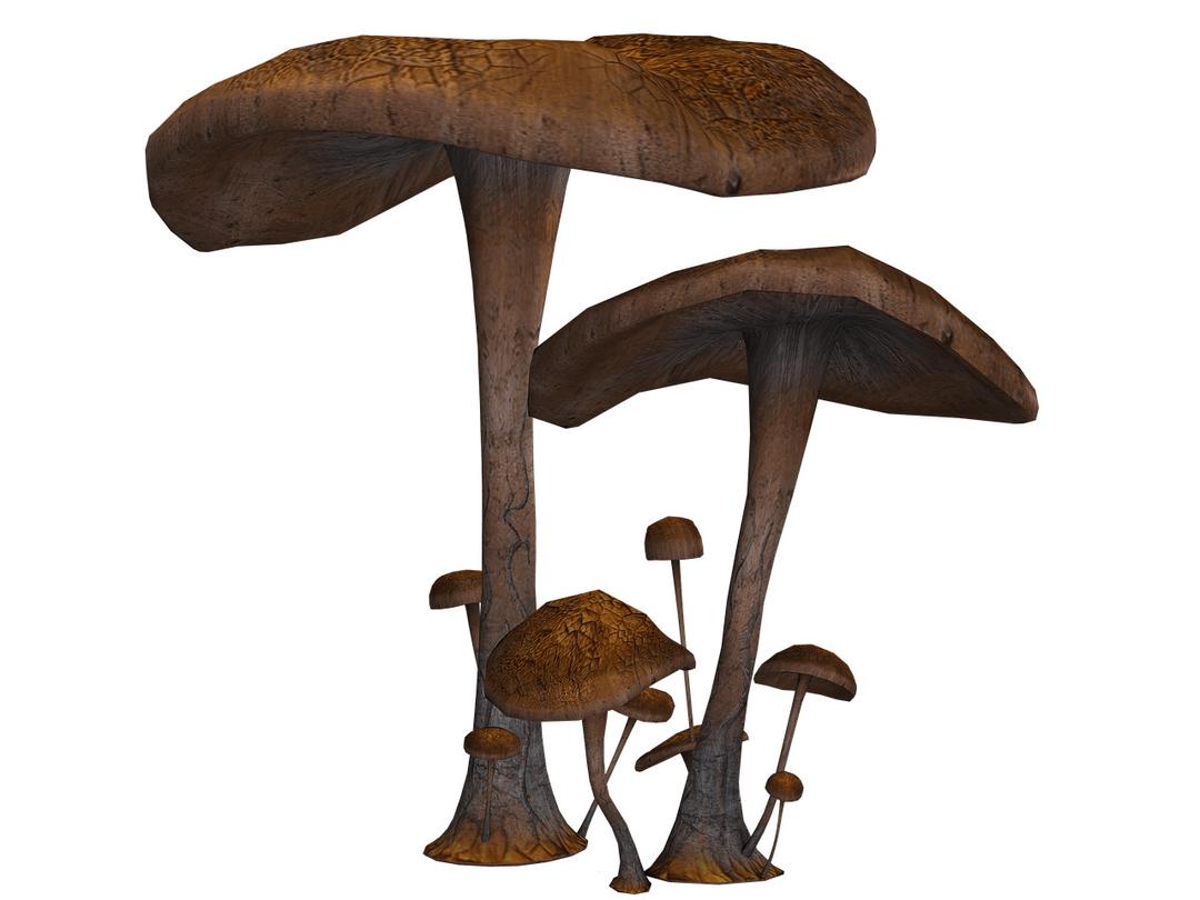 Mushrooms Large and Small png transparent