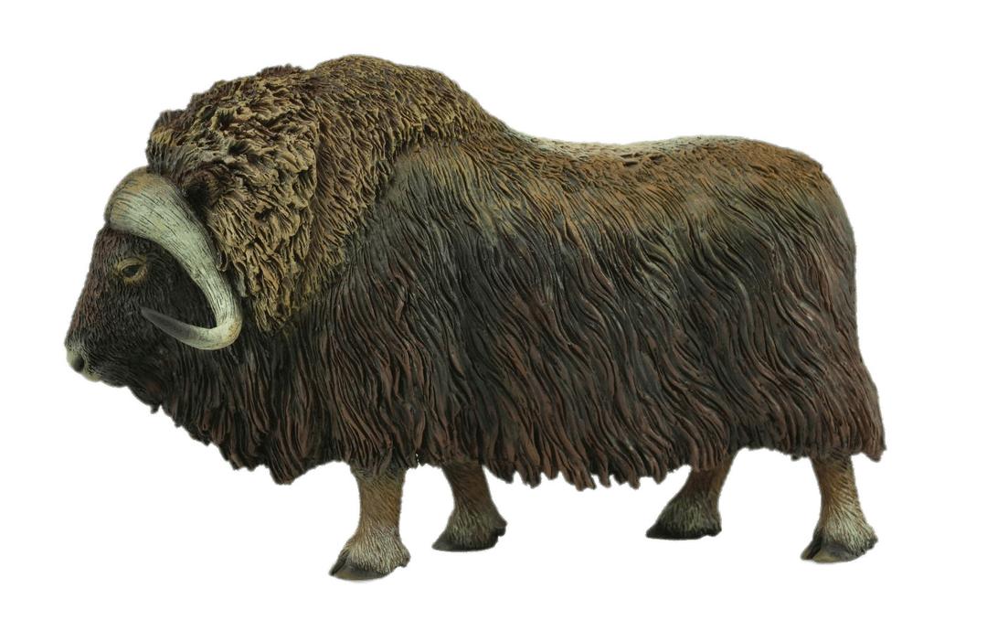 Musk Ox Figurine png transparent