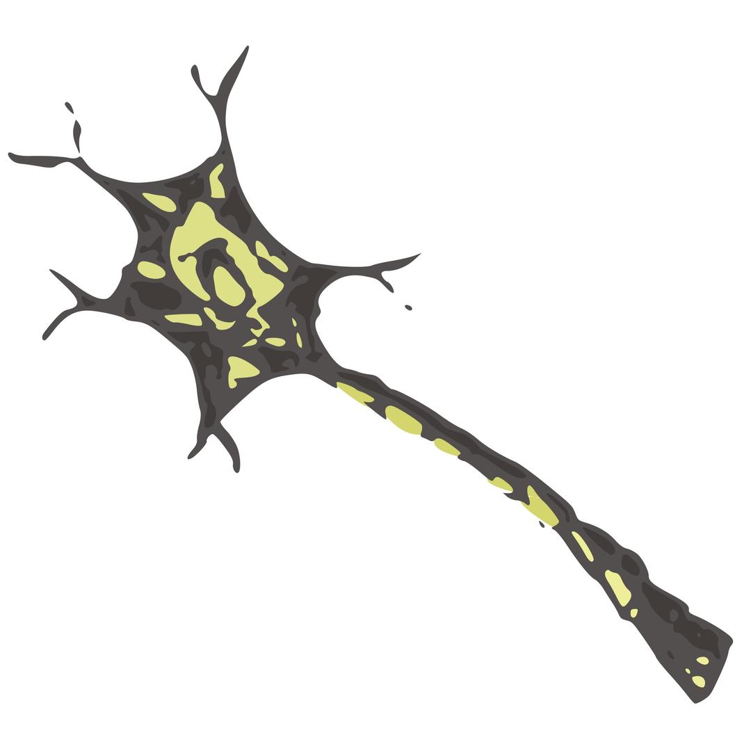 Neuron png transparent