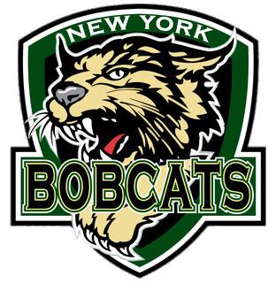 New York Bobcats Logo png transparent
