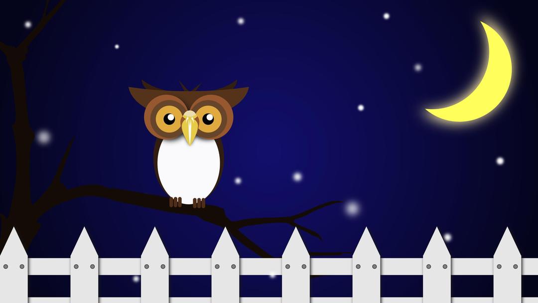 Night Owl png transparent