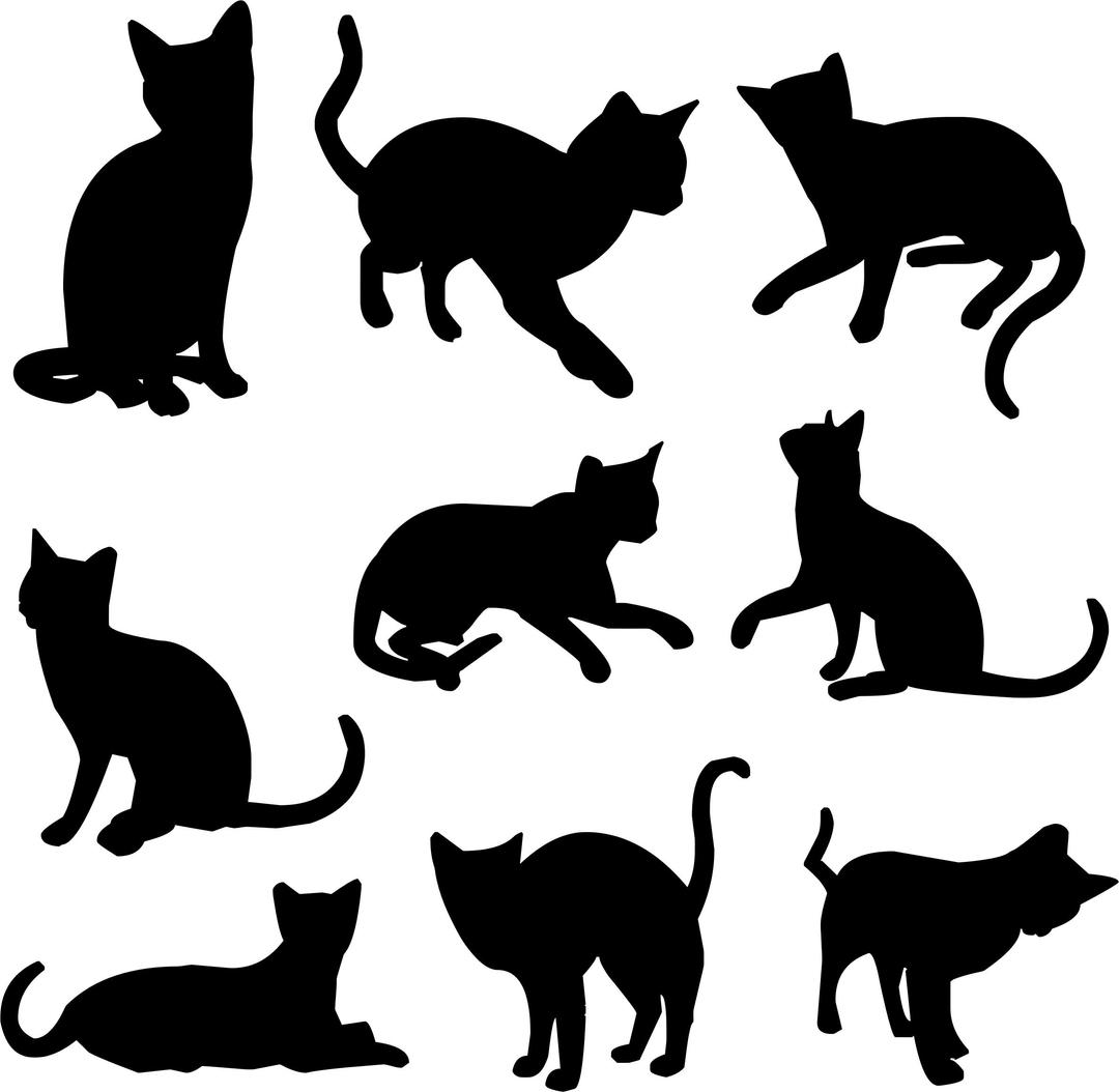 Nine Cats Silhouettes png transparent