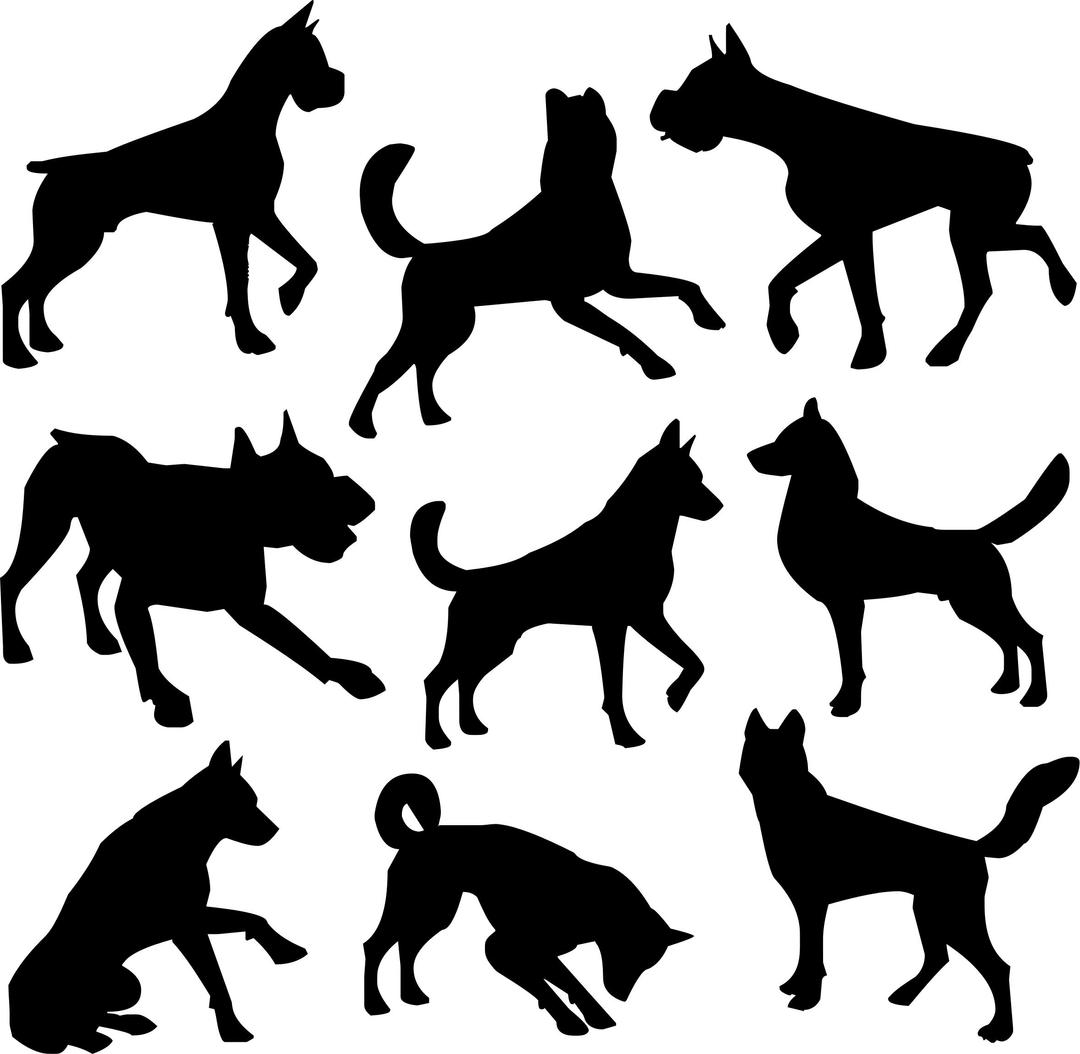Nine Dogs Silhouettes png transparent