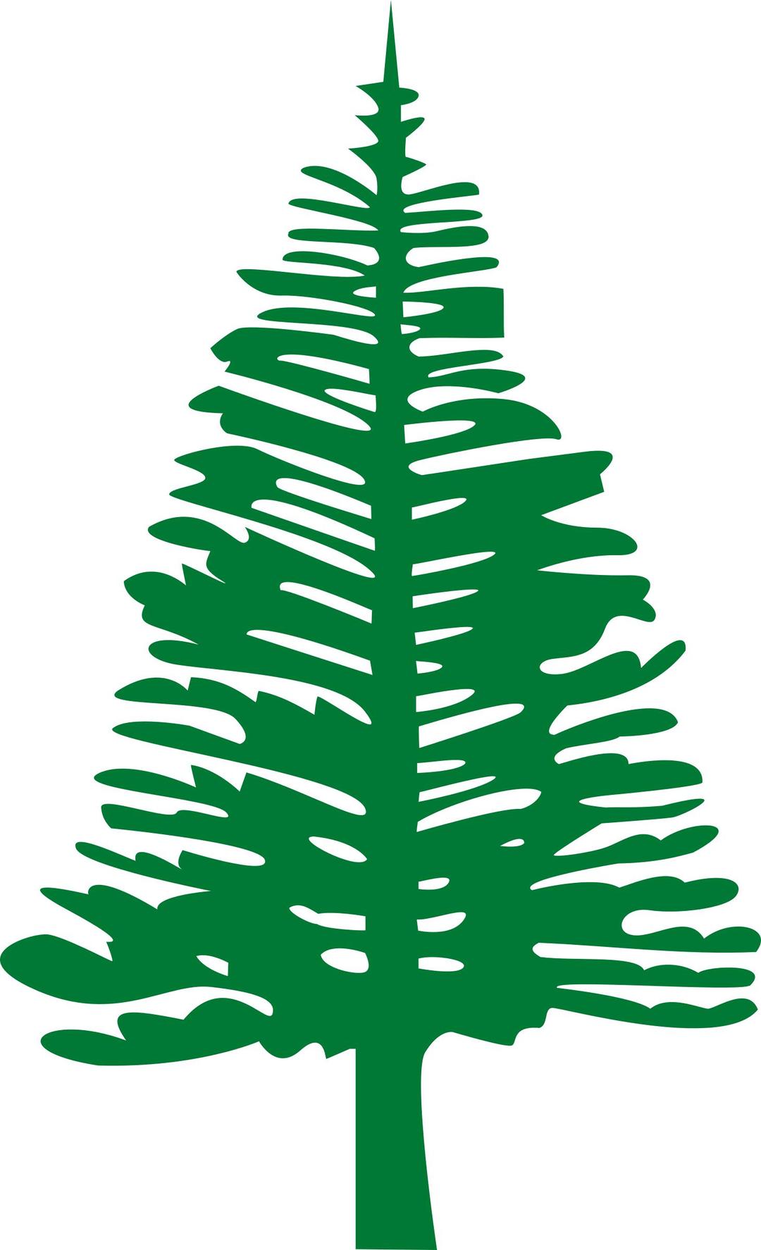 Norfolk Island Pine png transparent