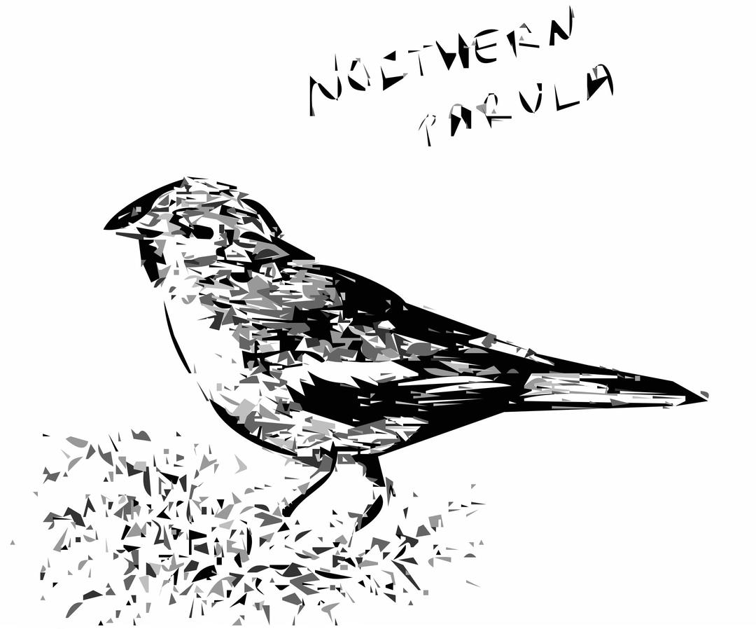 Northern Parula Bird png transparent