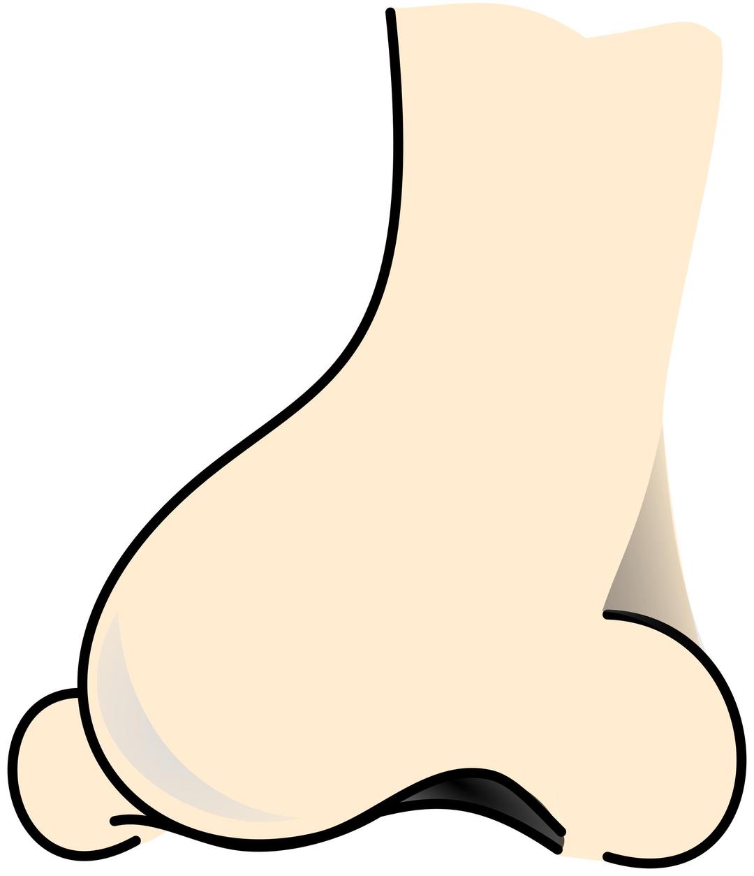 nose 2 colored png transparent