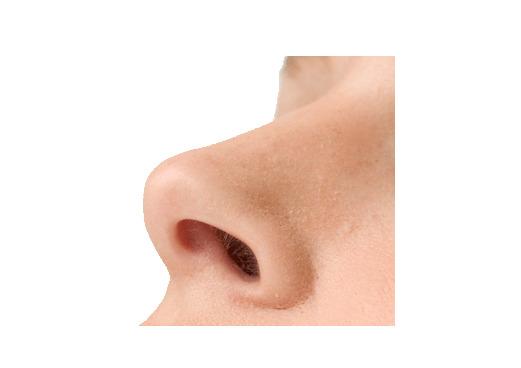 Nose Up png transparent
