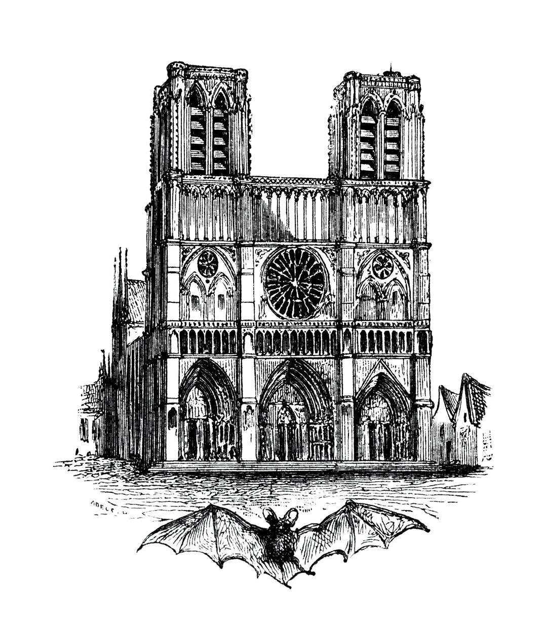 Notre Dame De Paris Sketch png transparent