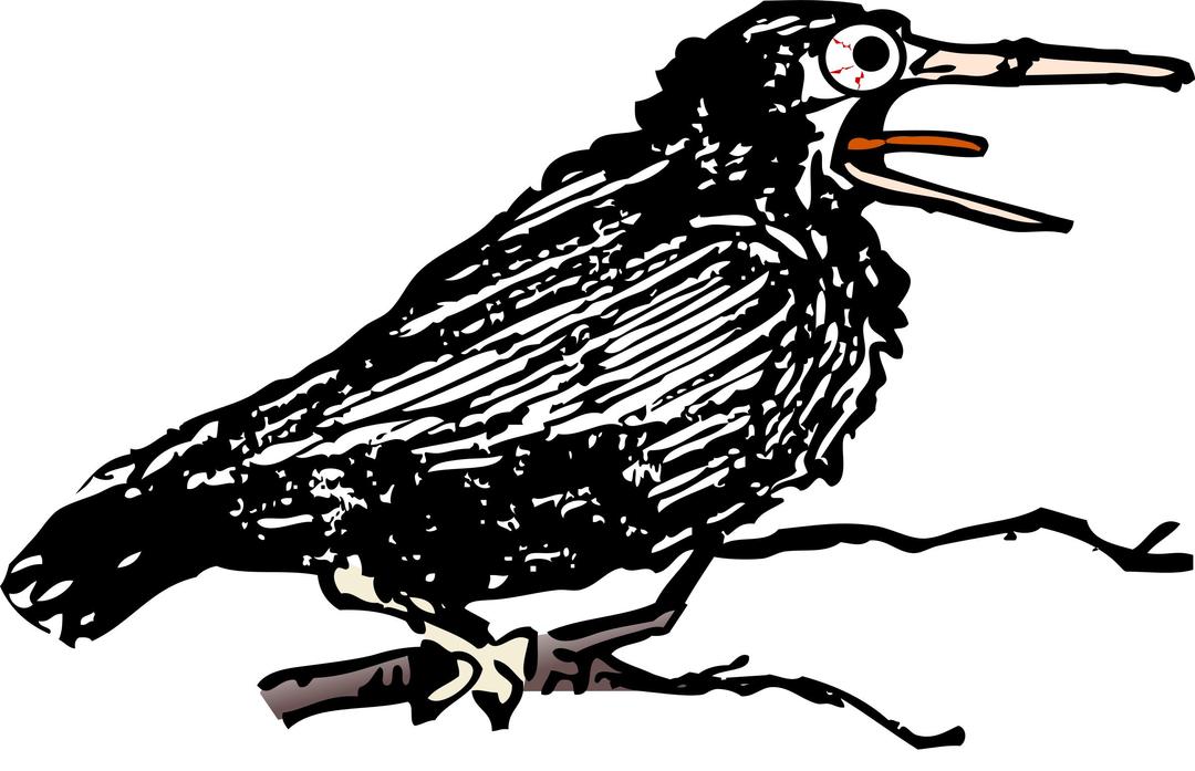Nutty Crow png transparent