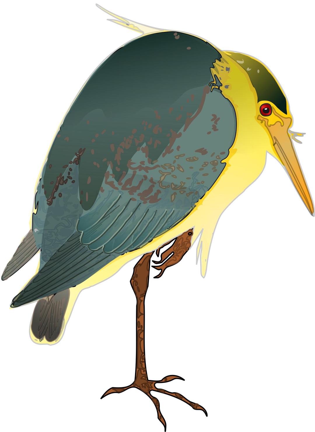 Nycticorax nycticorax png transparent