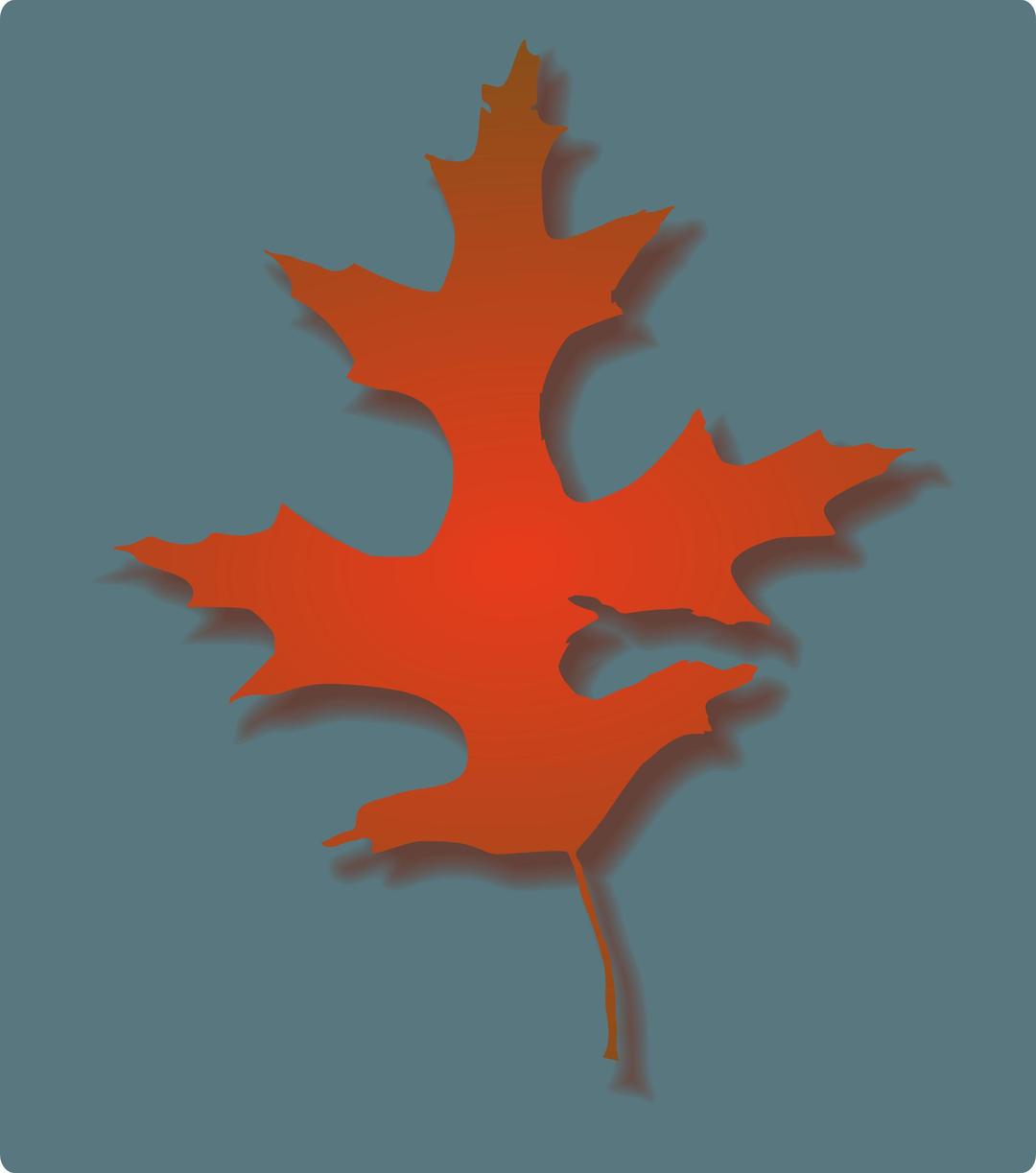 Oak Leaf - Autumn png transparent