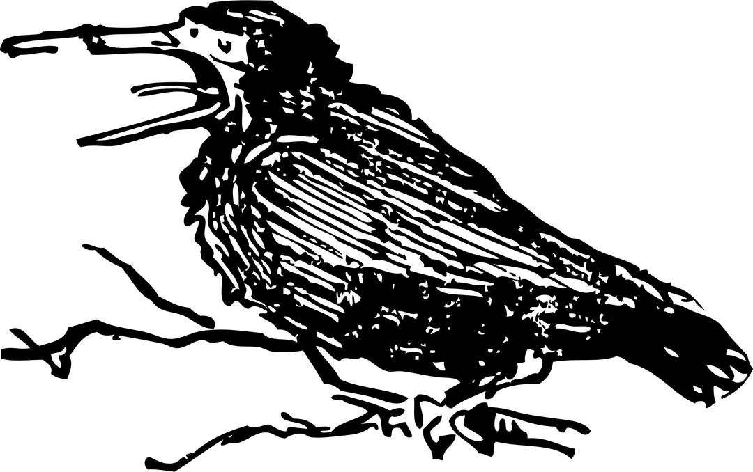 old crow png transparent