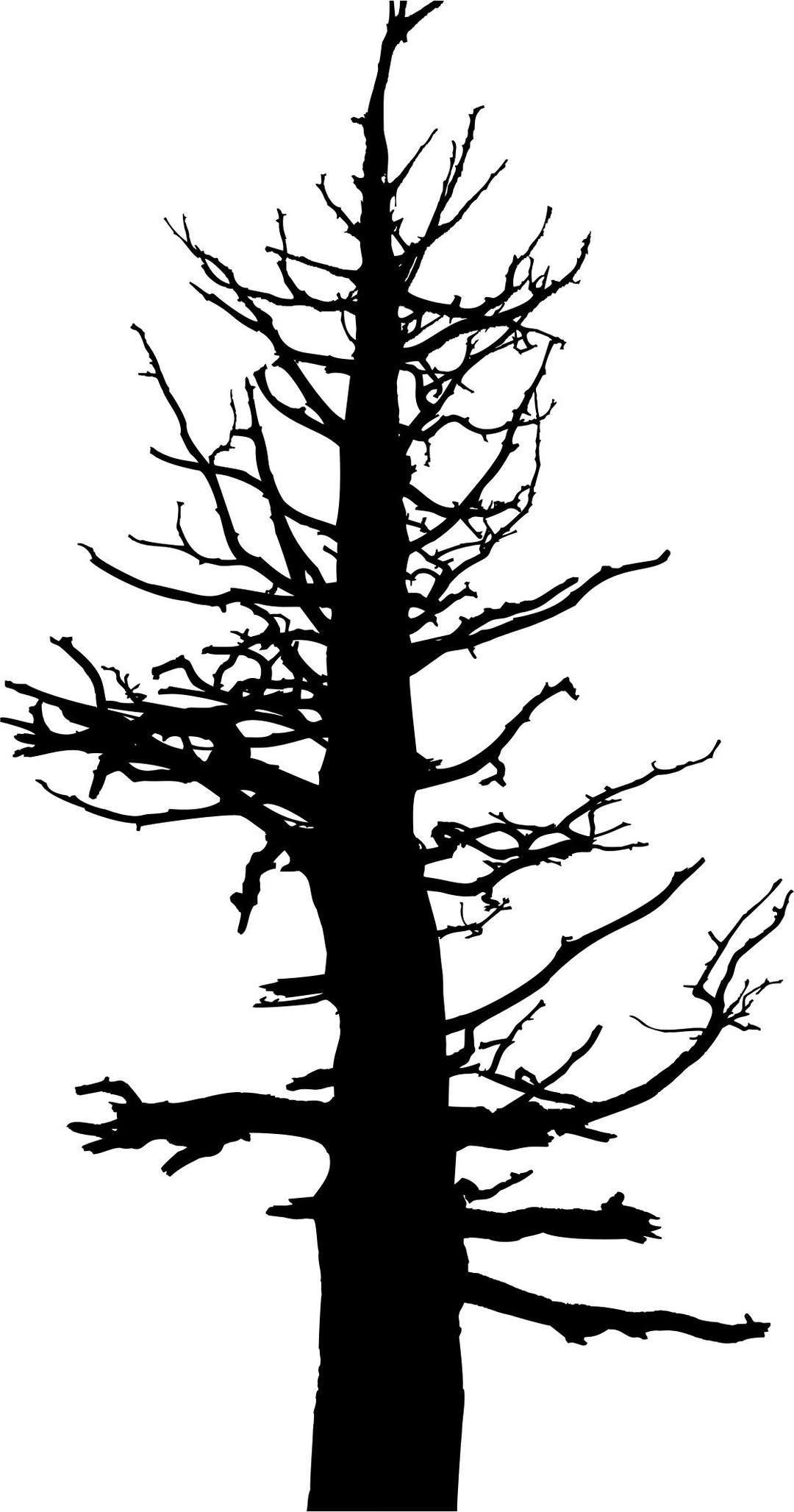 Old Dead Tree Silhouette png transparent